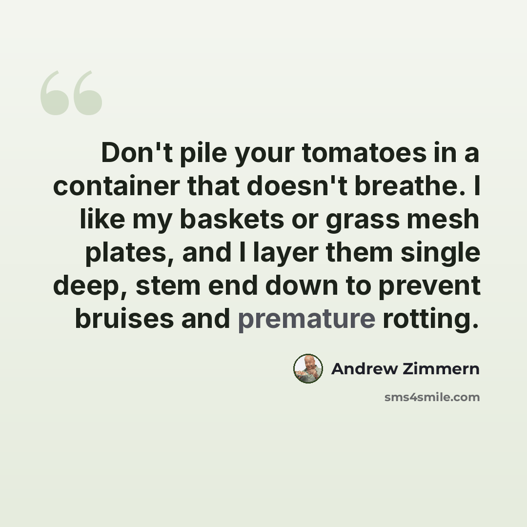 “Don't pile your tomatoes in a container that doesn't breathe. I like my baskets or grass mesh plates, and I layer them single deep, stem end down to prevent bruises and premature rotting.” quote by Andrew Zimmern