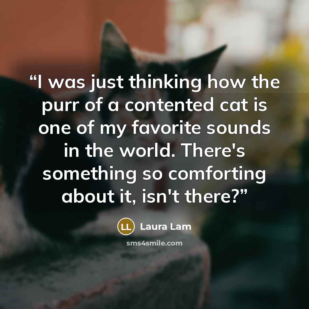 “I was just thinking how the purr of a contented cat is one of my favorite sounds in the world. There's something so comforting about it, isn't there?” quote by Laura Lam