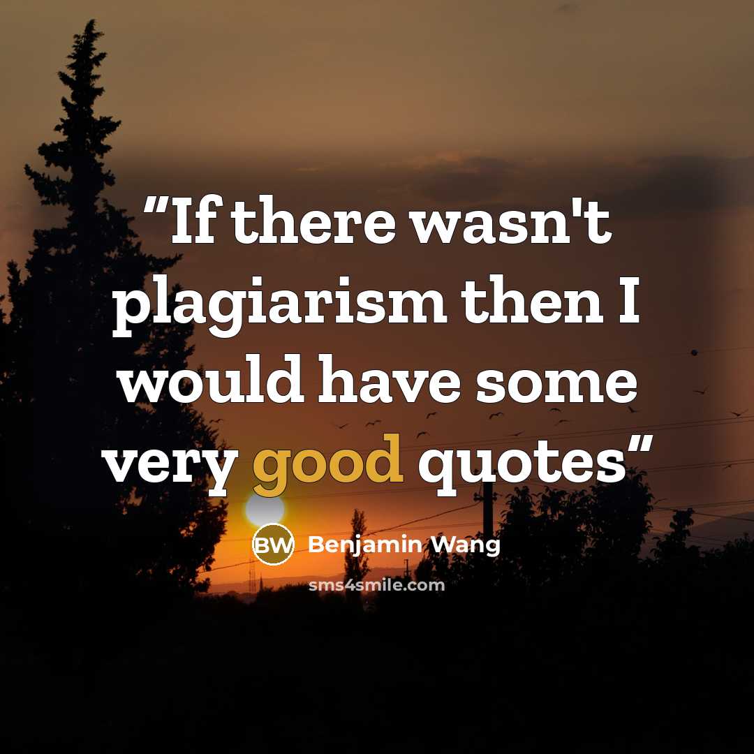 “If there wasn't plagiarism then I would have some very good quotes” quote by Benjamin Wang