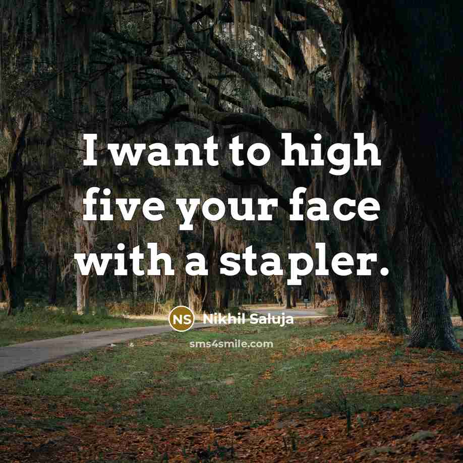 “I want to high five your face with a stapler.” quote by Nikhil Saluja