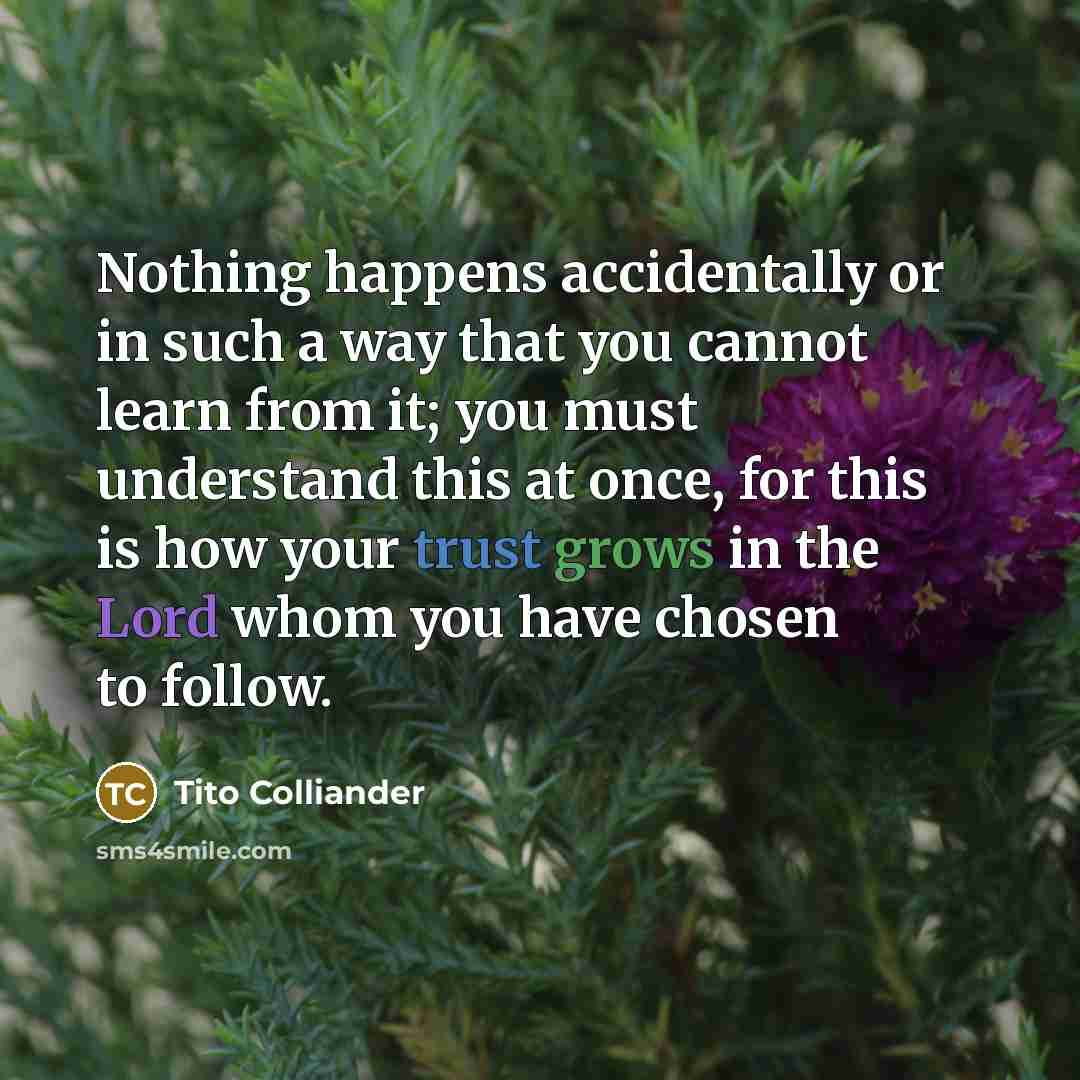 “Nothing happens accidentally or in such a way that you cannot learn from it; you must understand this at once, for this is how your trust grows in the Lord whom you have chosen to follow.” quote by Tito Colliander
