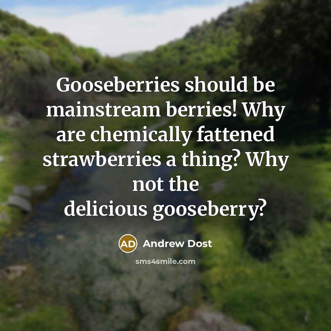 “Gooseberries should be mainstream berries! Why are chemically fattened strawberries a thing? Why not the delicious gooseberry?” quote by Andrew Dost