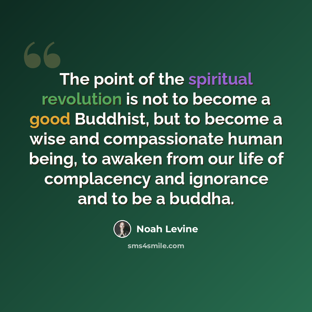 “The point of the spiritual revolution is not to become a good Buddhist, but to become a wise and compassionate human being, to awaken from our life of complacency and ignorance and to be a buddha.” quote by Noah Levine