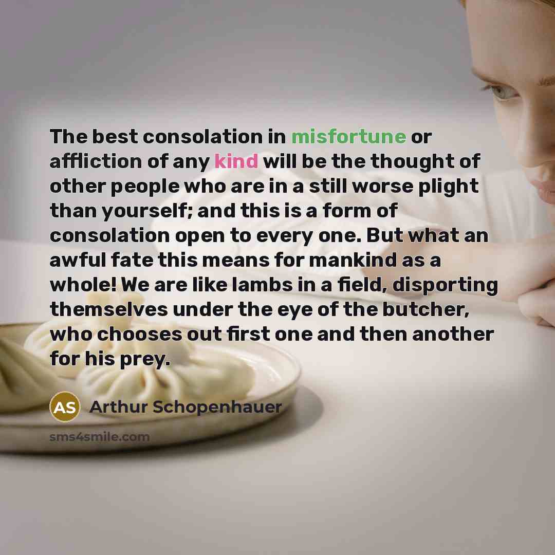 “The best consolation in misfortune or affliction of any kind will be the thought of other people who are in a still worse plight than yourself; and this is a form of consolation open to every one. But what an awful fate this means for mankind as a whole! We are like lambs in a field, disporting…” quote by Arthur Schopenhauer
