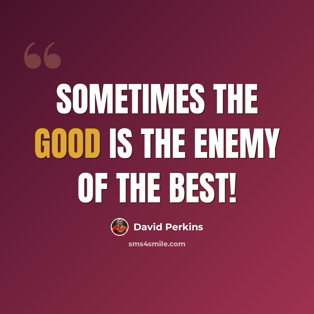 “Sometimes the Good is the enemy of the BEST!” quote by David Perkins