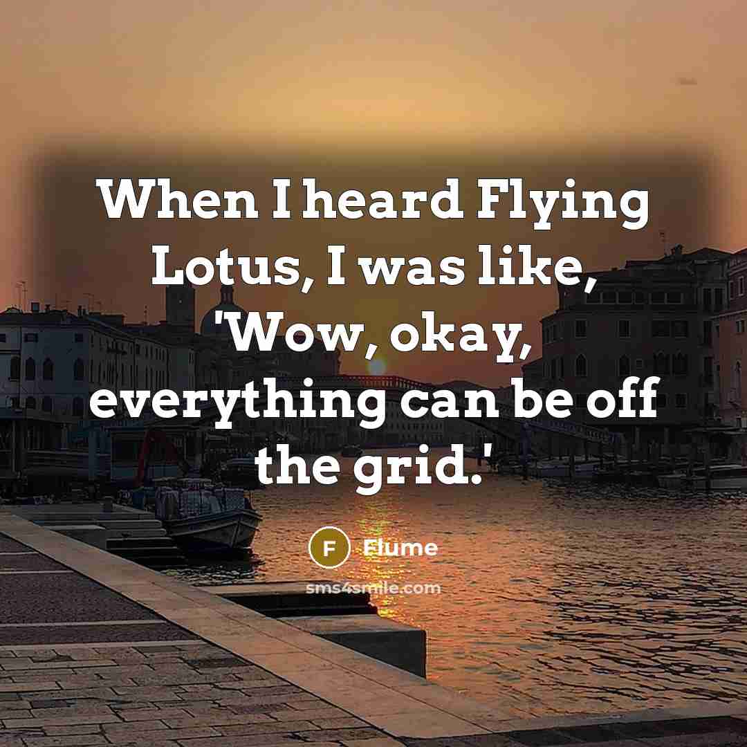 “When I heard Flying Lotus, I was like, 'Wow, okay, everything can be off the grid.'” quote by Flume