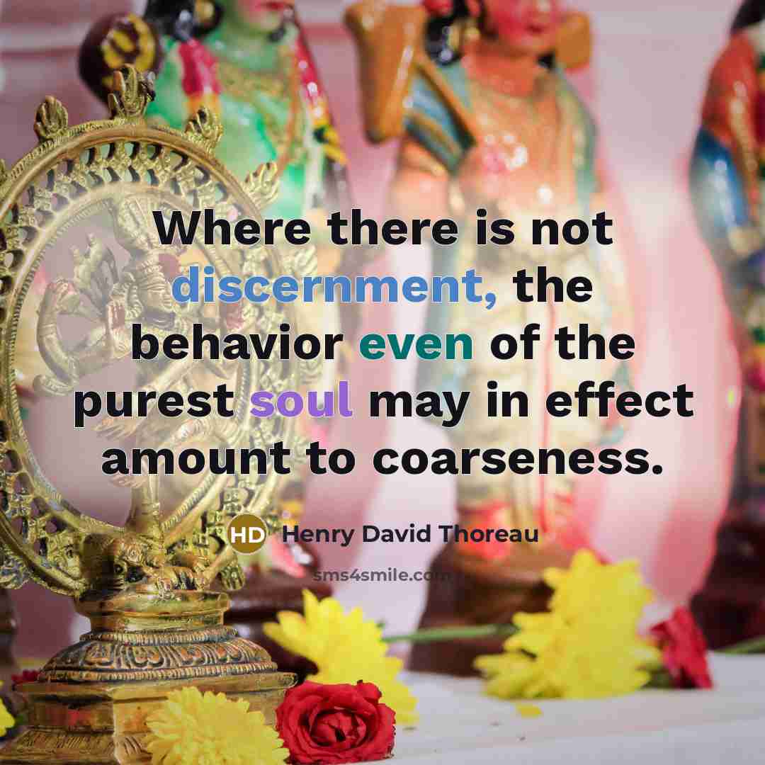“Where there is not discernment, the behavior even of the purest soul may in effect amount to coarseness.” quote by Henry David Thoreau