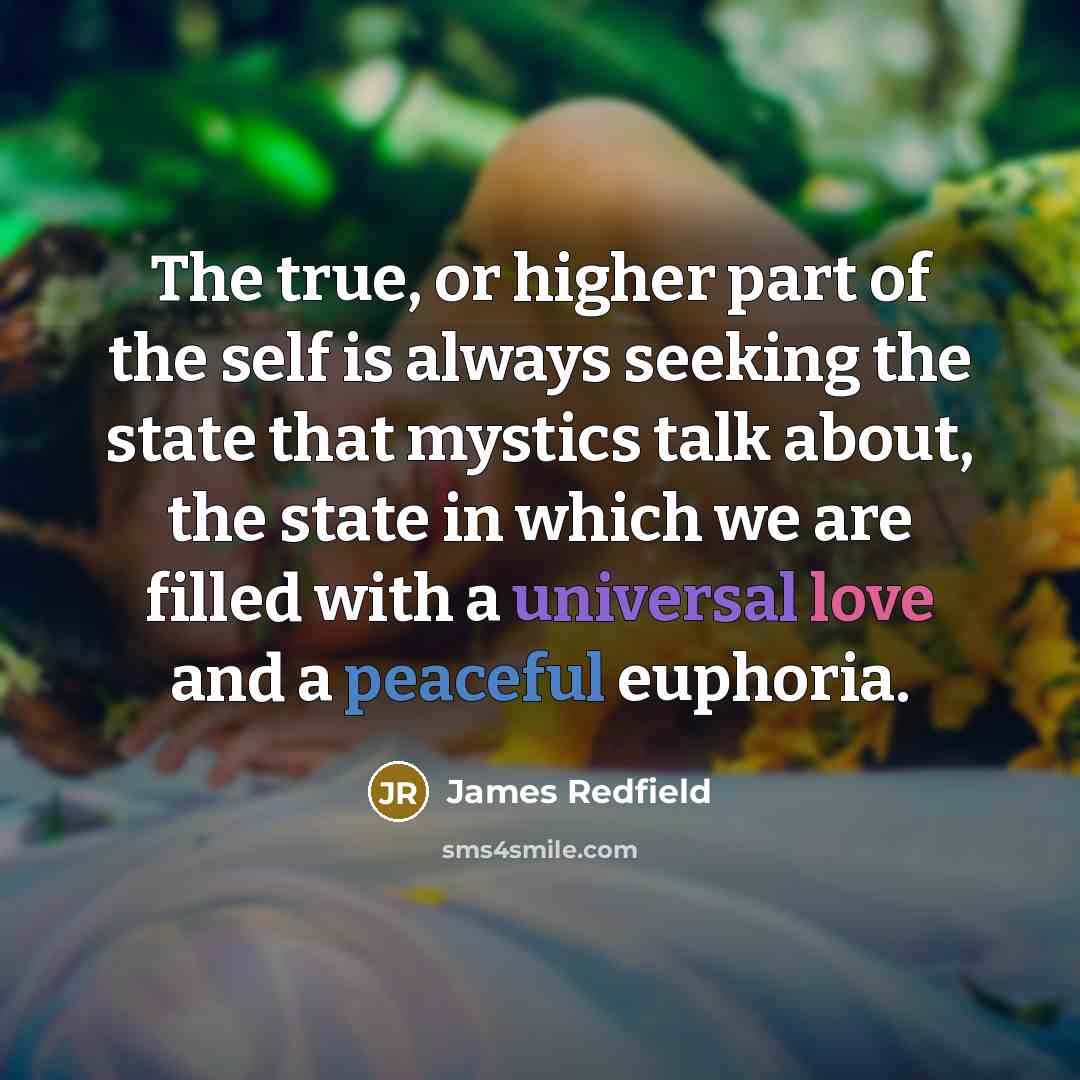 “The true, or higher part of the self is always seeking the state that mystics talk about, the state in which we are filled with a universal love and a peaceful euphoria.” quote by James Redfield