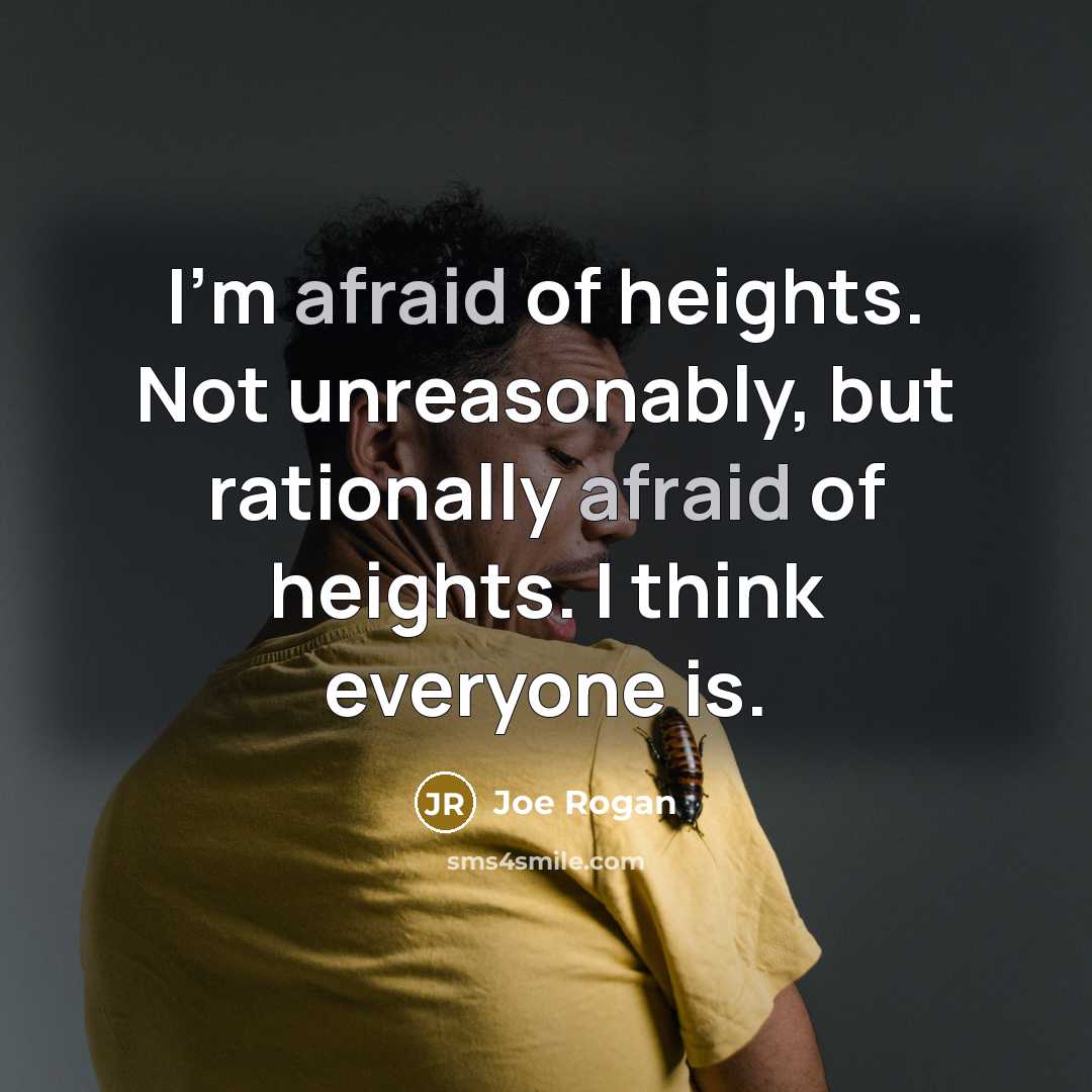“I'm afraid of heights. Not unreasonably, but rationally afraid of heights. I think everyone is.” quote by Joe Rogan