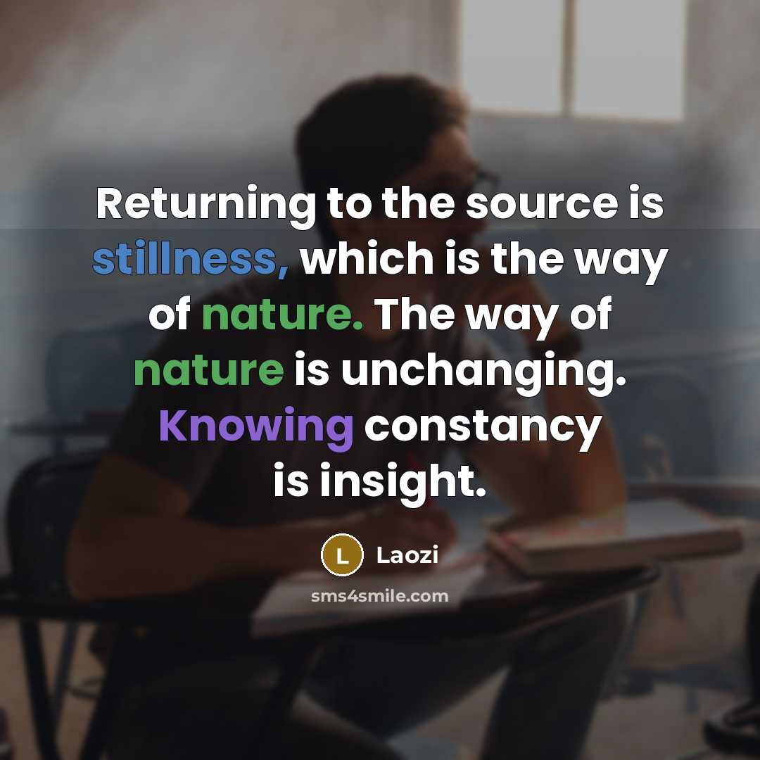“Returning to the source is stillness, which is the way of nature. The way of nature is unchanging. Knowing constancy is insight.” quote by Laozi