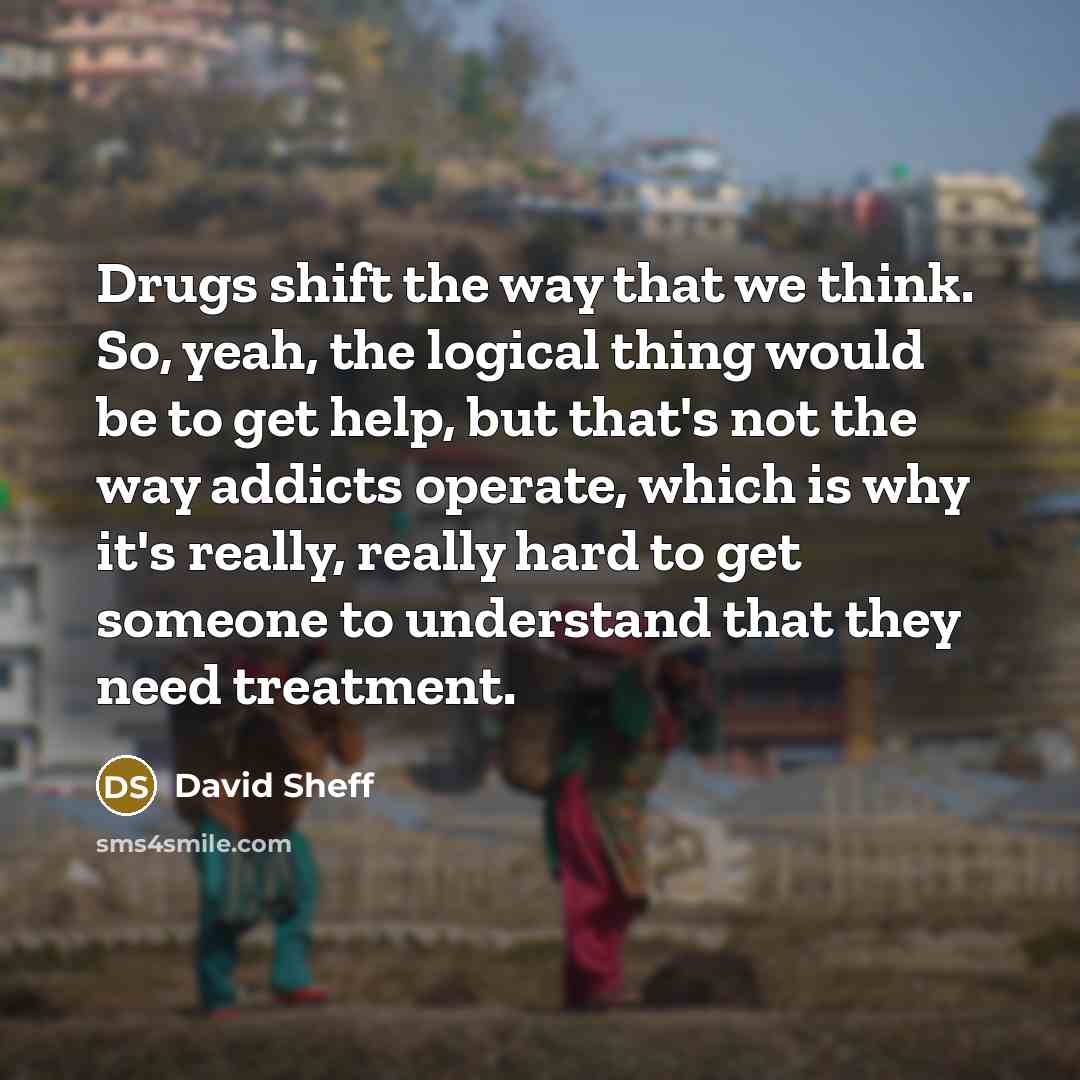 “Drugs shift the way that we think. So, yeah, the logical thing would be to get help, but that's not the way addicts operate, which is why it's really, really hard to get someone to understand that they need treatment.” quote by David Sheff