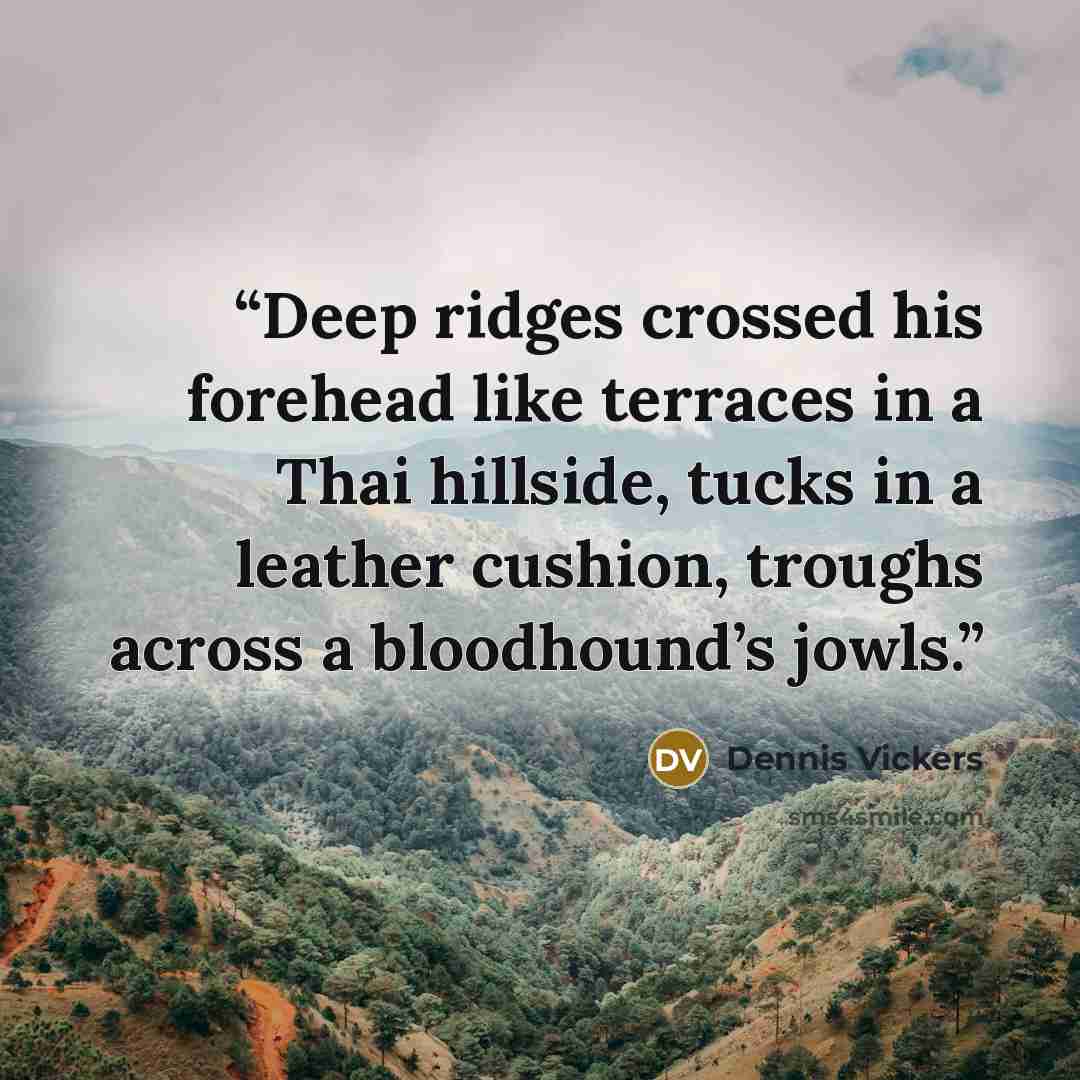 “Deep ridges crossed his forehead like terraces in a Thai hillside, tucks in a leather cushion, troughs across a bloodhound’s jowls.” quote by Dennis Vickers