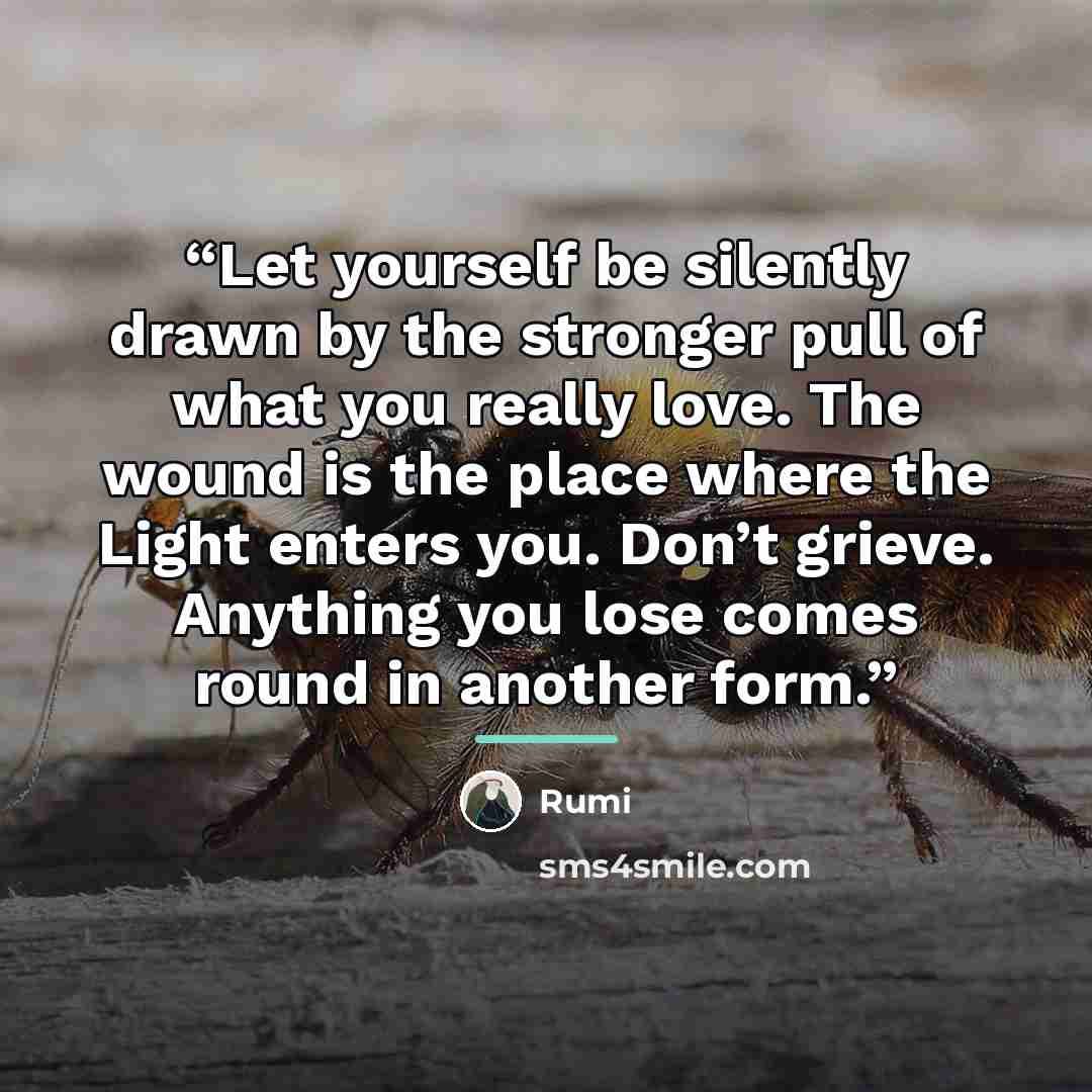 “Let yourself be silently drawn by the stronger pull of what you really love. The wound is the place where the Light enters you. Don’t grieve. Anything you lose comes round in another form.” quote by Rumi