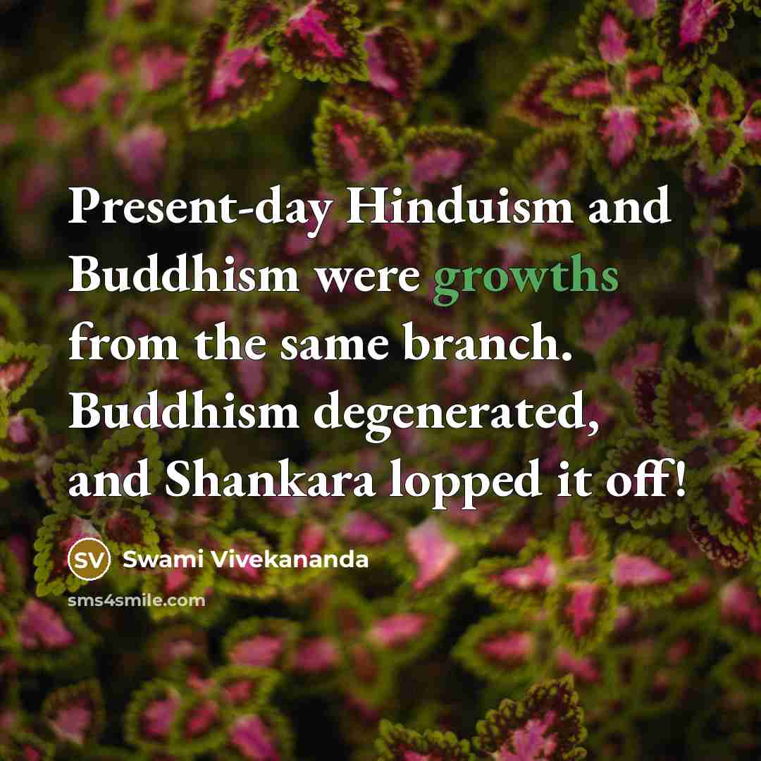 “Present-day Hinduism and Buddhism were growths from the same branch. Buddhism degenerated, and Shankara lopped it off!” quote by Swami Vivekananda