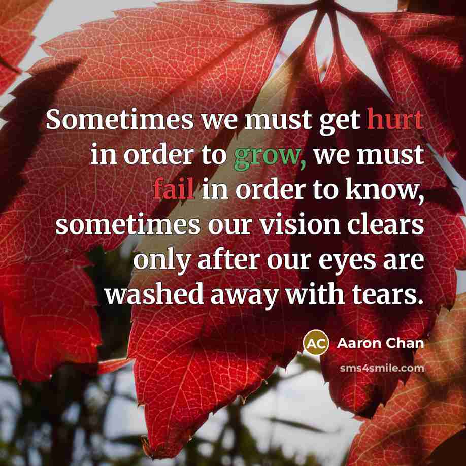 “Sometimes we must get hurt in order to grow, we must fail in order to know, sometimes our vision clears only after our eyes are washed away with tears.” quote by Aaron Chan