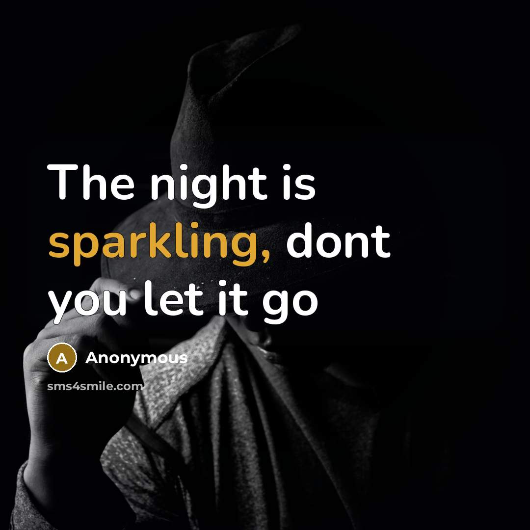 “The night is sparkling, dont you let it go” quote by Anonymous
