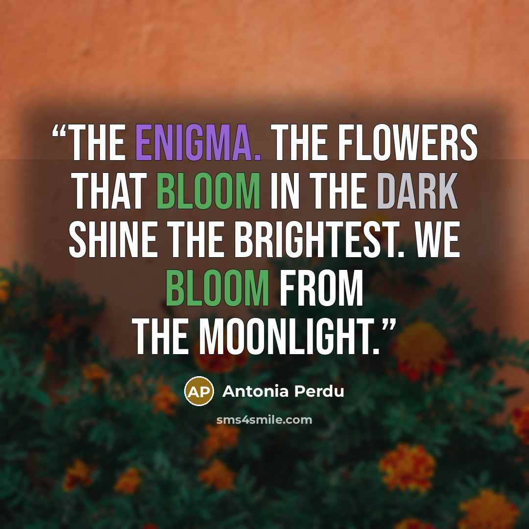 “The enigma. The flowers that bloom in the dark shine the brightest. We bloom from the moonlight.” quote by Antonia Perdu