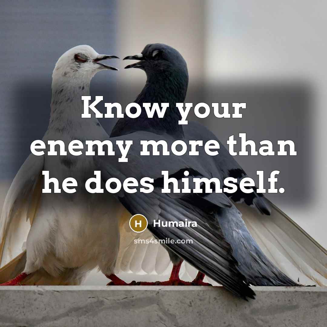 “Know your enemy more than he does himself.” quote by Humaira