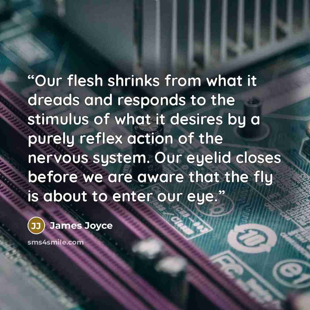 “Our flesh shrinks from what it dreads and responds to the stimulus of what it desires by a purely reflex action of the nervous system. Our eyelid closes before we are aware that the fly is about to enter our eye.” quote by James Joyce