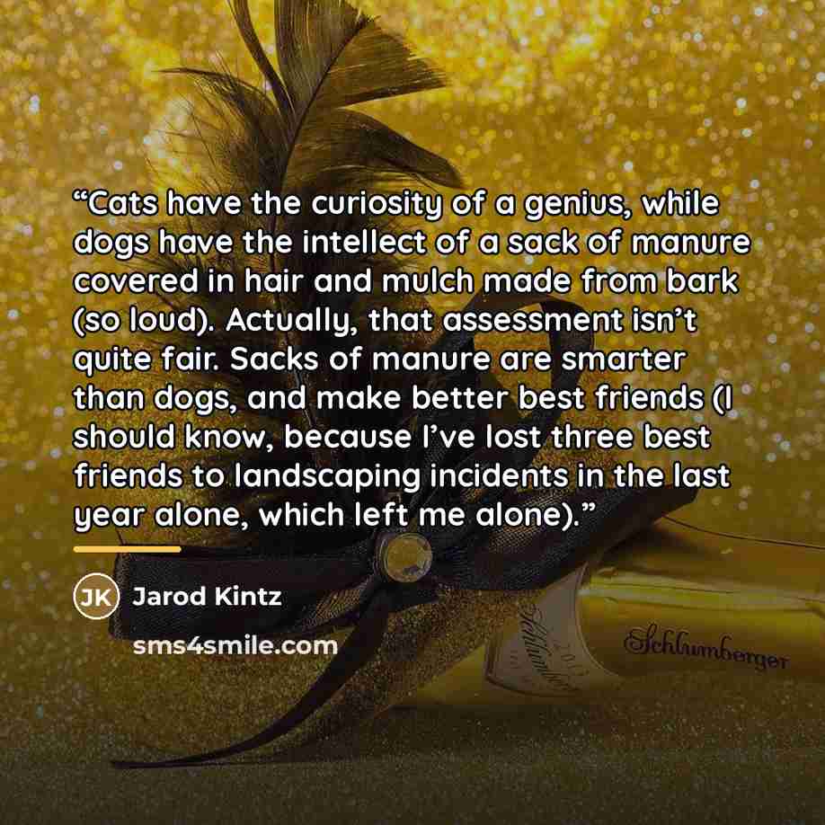 “Cats have the curiosity of a genius, while dogs have the intellect of a sack of manure covered in hair and mulch made from bark (so loud). Actually, that assessment isn’t quite fair. Sacks of manure are smarter than dogs, and make better best friends (I should know, because I’ve lost three best…” quote by Jarod Kintz
