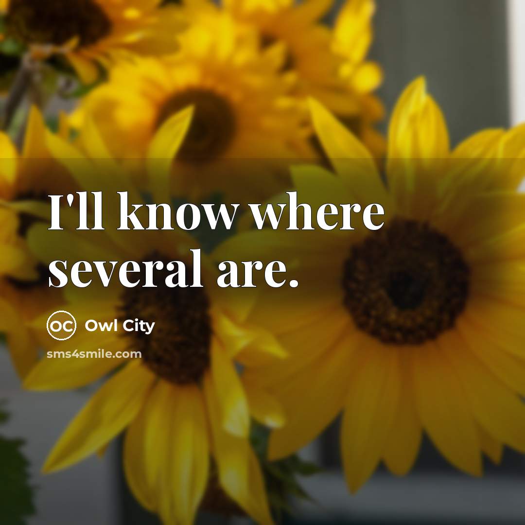 “I'll know where several are.” quote by Owl City