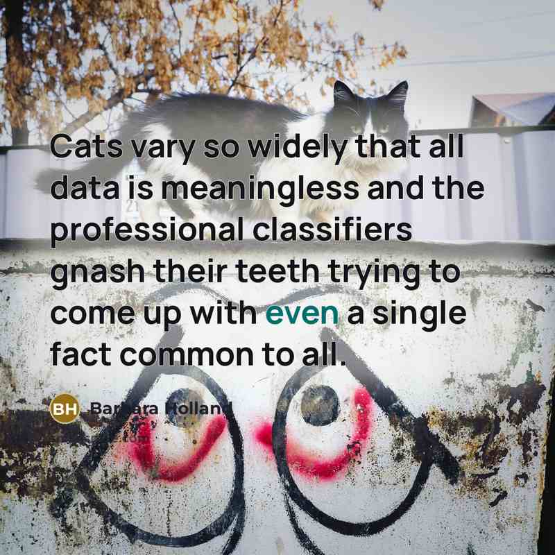 “Cats vary so widely that all data is meaningless and the professional classifiers gnash their teeth trying to come up with even a single fact common to all.” quote by Barbara Holland