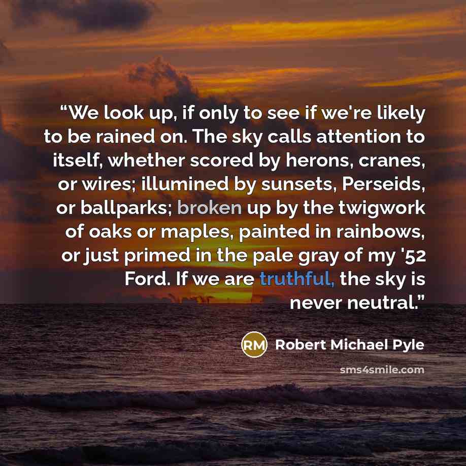 “We look up, if only to see if we're likely to be rained on. The sky calls attention to itself, whether scored by herons, cranes, or wires; illumined by sunsets, Perseids, or ballparks; broken up by the twigwork of oaks or maples, painted in rainbows, or just primed in the pale gray of my '52 Ford…” quote by Robert Michael Pyle