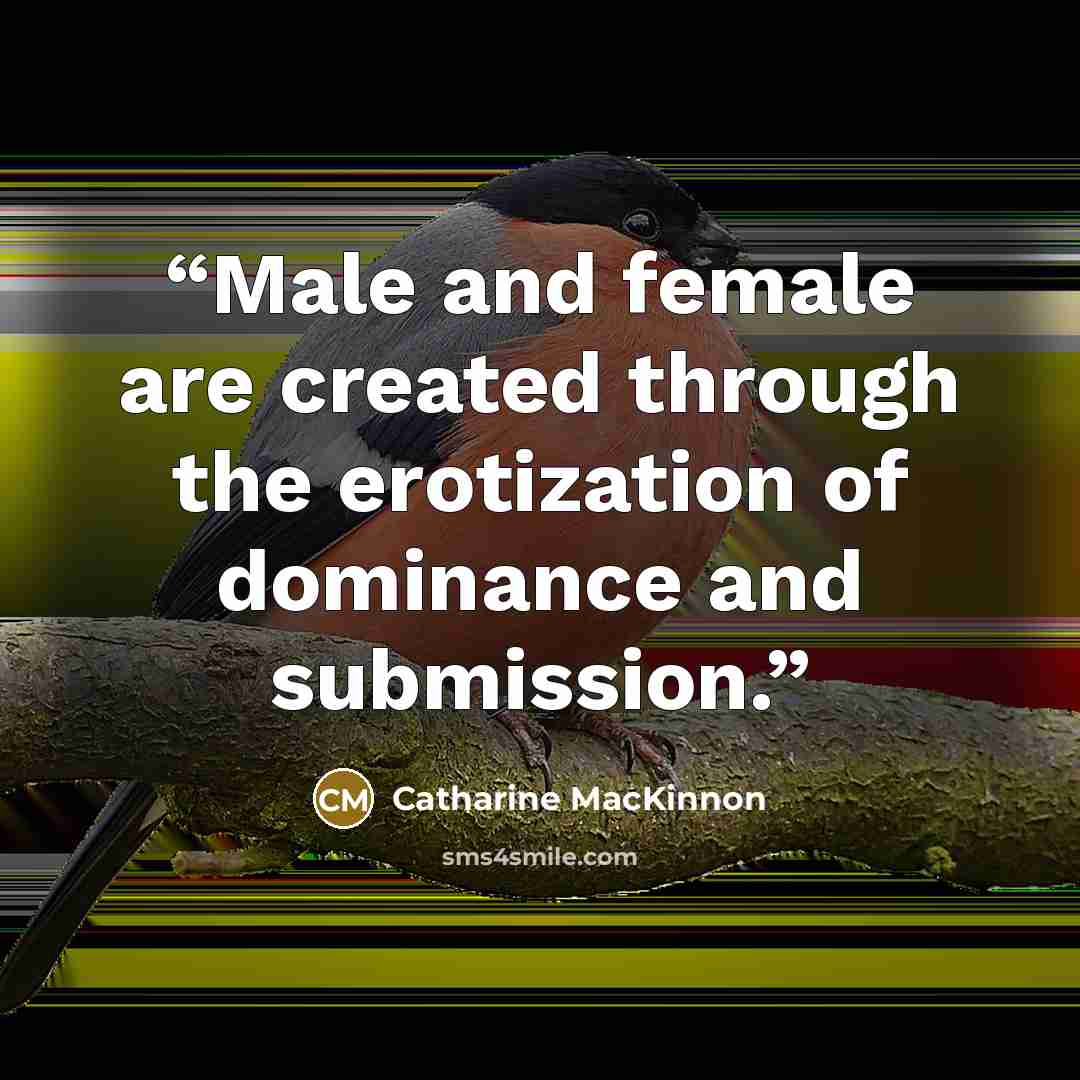 “Male and female are created through the erotization of dominance and submission.” quote by Catharine MacKinnon