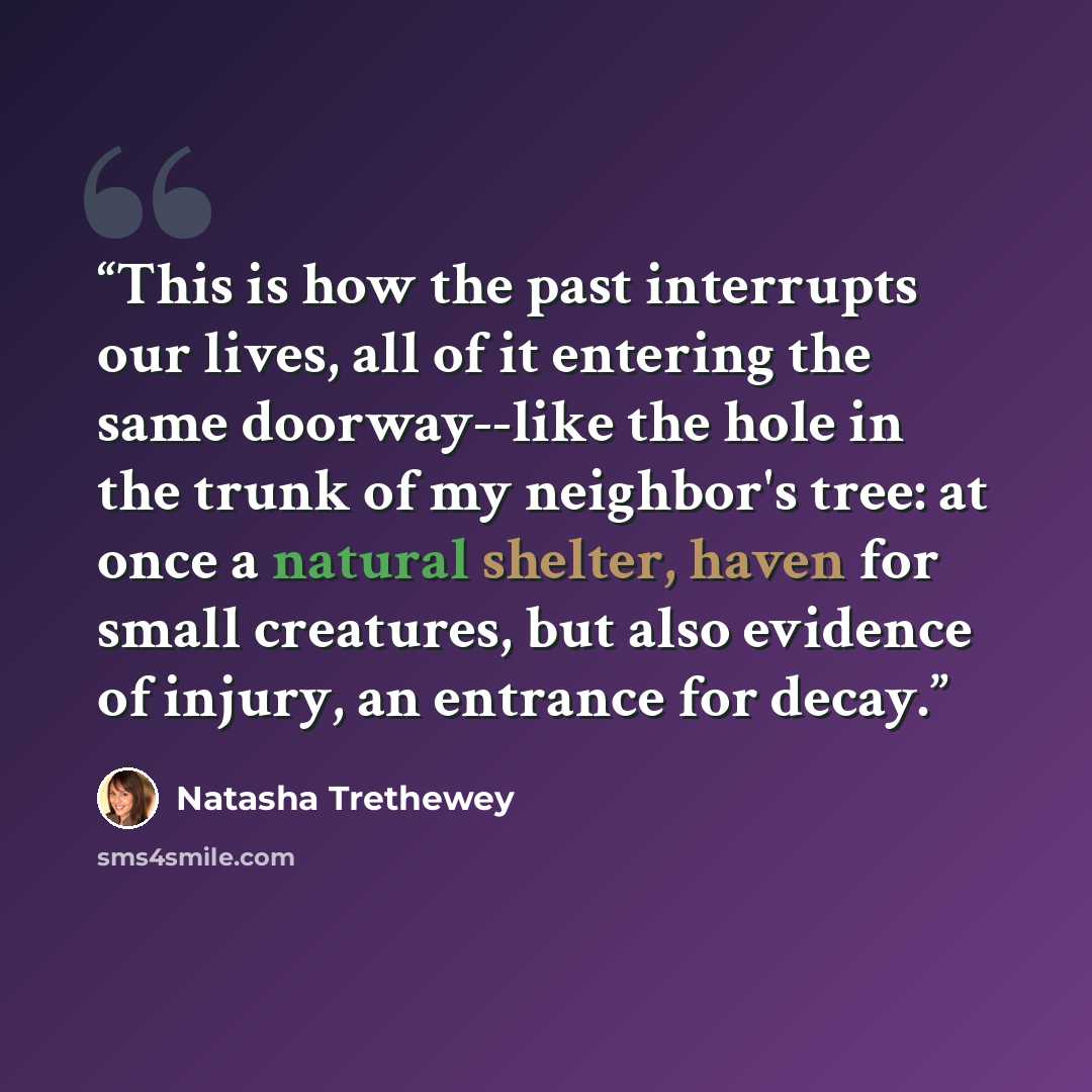 “This is how the past interrupts our lives, all of it entering the same doorway--like the hole in the trunk of my neighbor's tree: at once a natural shelter, haven for small creatures, but also evidence of injury, an entrance for decay.” quote by Natasha Trethewey