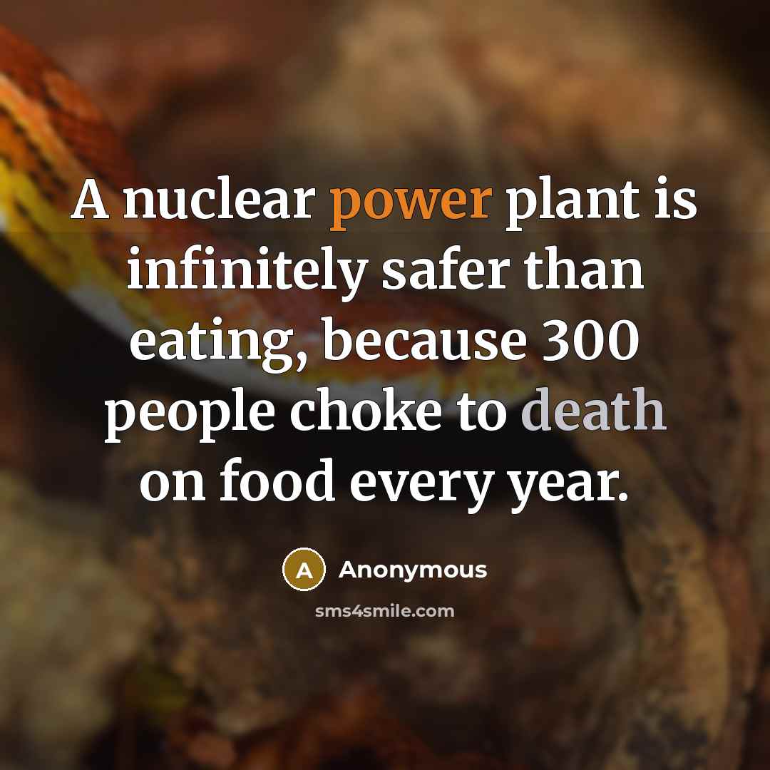 “A nuclear power plant is infinitely safer than eating, because 300 people choke to death on food every year.” quote by Anonymous