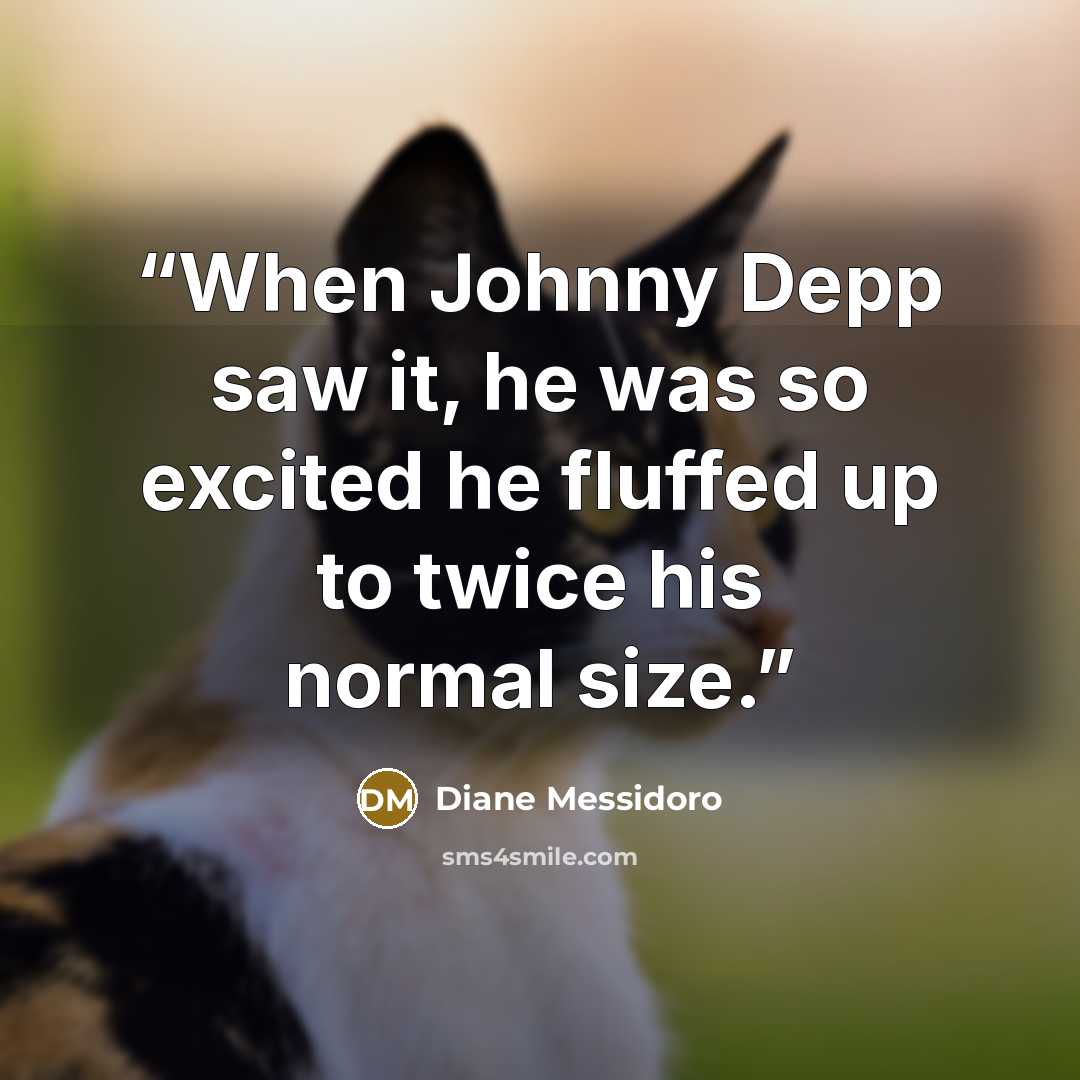 “When Johnny Depp saw it, he was so excited he fluffed up to twice his normal size.” quote by Diane Messidoro
