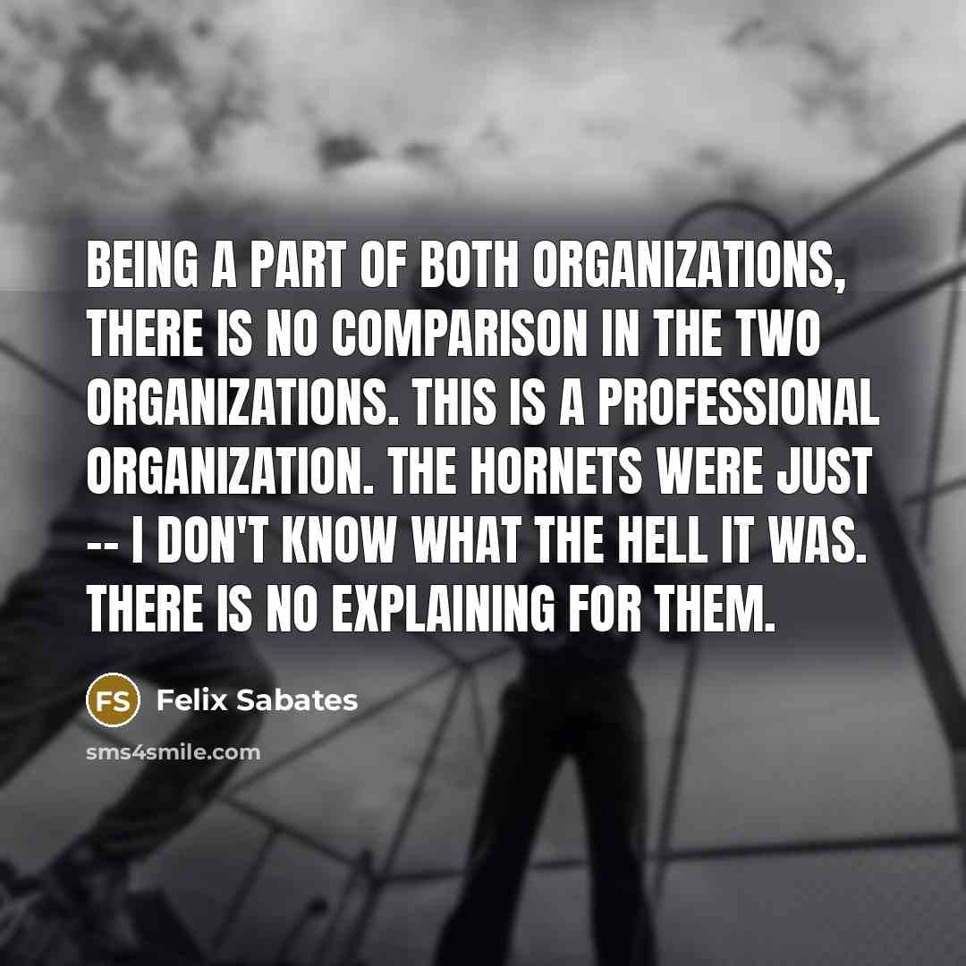 “Being a part of both organizations, there is no comparison in the two organizations. This is a professional organization. The Hornets were just -- I don't know what the hell it was. There is no explaining for them.” quote by Felix Sabates