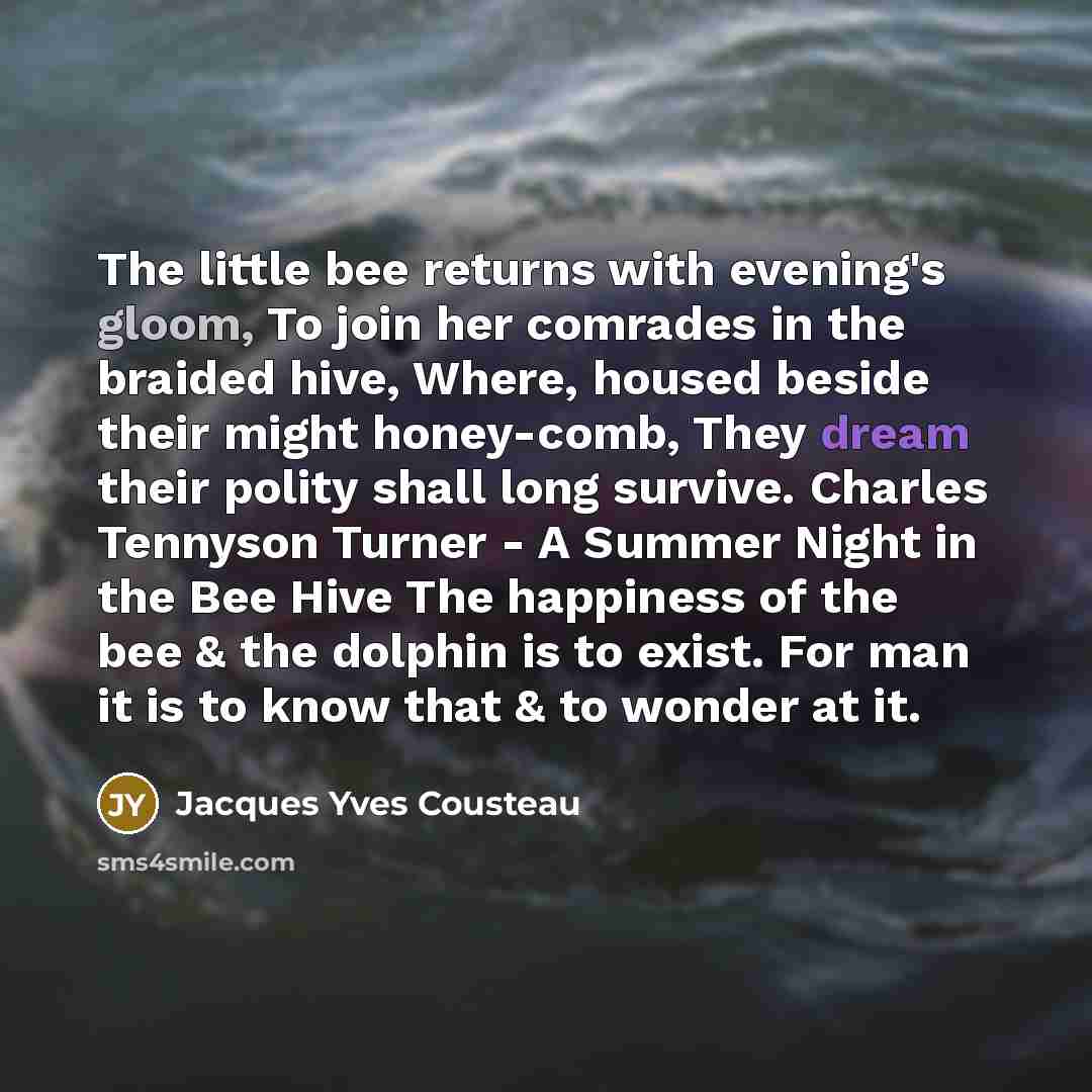 “The little bee returns with evening's gloom, To join her comrades in the braided hive, Where, housed beside their might honey-comb, They dream their polity shall long survive. Charles Tennyson Turner - A Summer Night in the Bee Hive The happiness of the bee & the dolphin is to exist. For man it is…” quote by Jacques Yves Cousteau