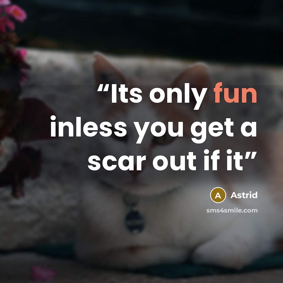 “Its only fun inless you get a scar out if it” quote by Astrid