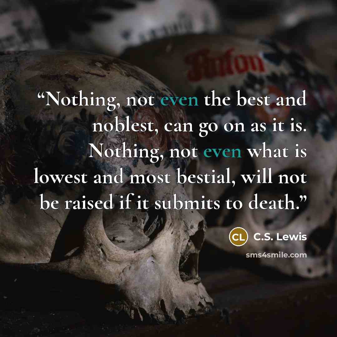 “Nothing, not even the best and noblest, can go on as it is. Nothing, not even what is lowest and most bestial, will not be raised if it submits to death.” quote by C.S. Lewis