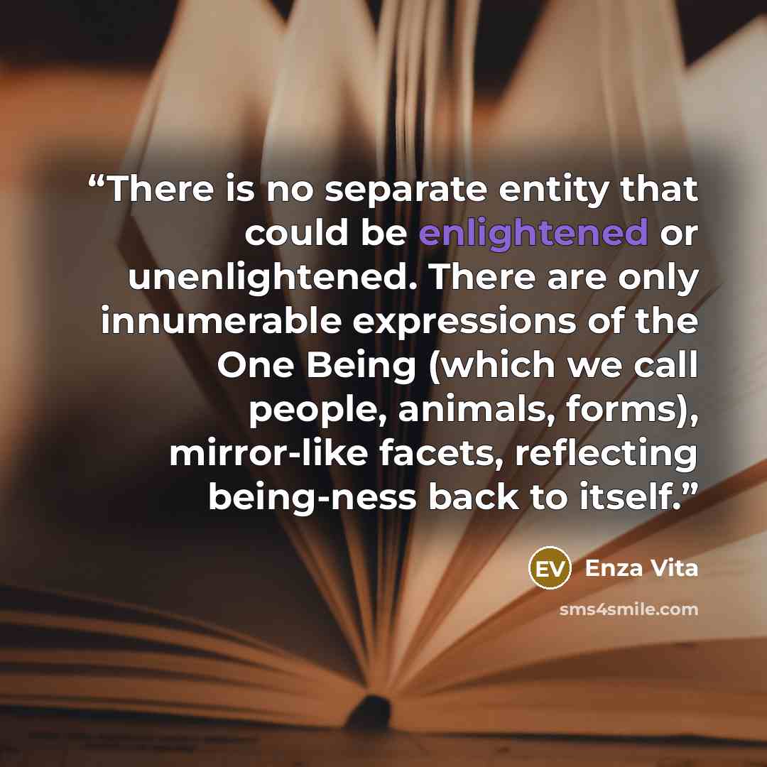 “There is no separate entity that could be enlightened or unenlightened. There are only innumerable expressions of the One Being (which we call people, animals, forms), mirror-like facets, reflecting being-ness back to itself.” quote by Enza Vita