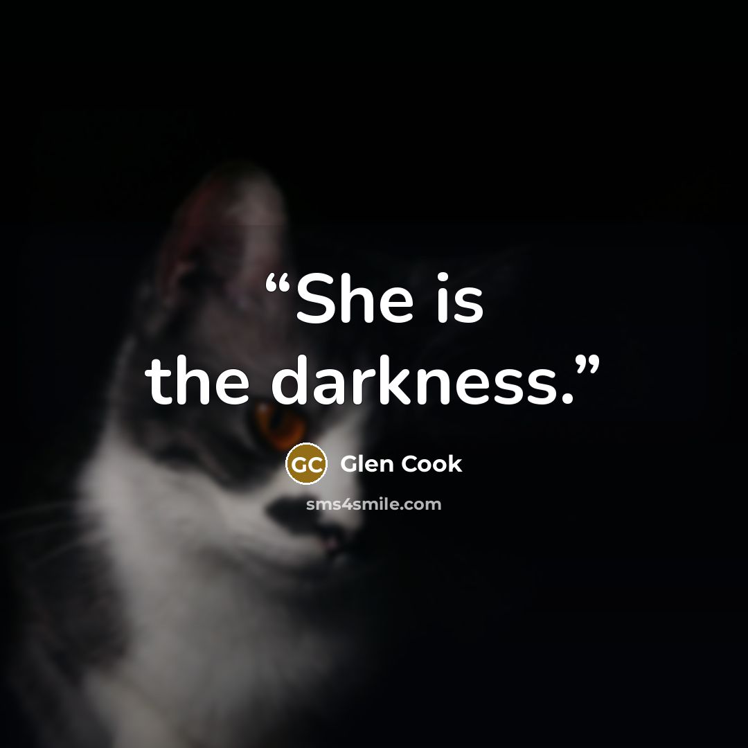 “She is the darkness.” quote by Glen Cook