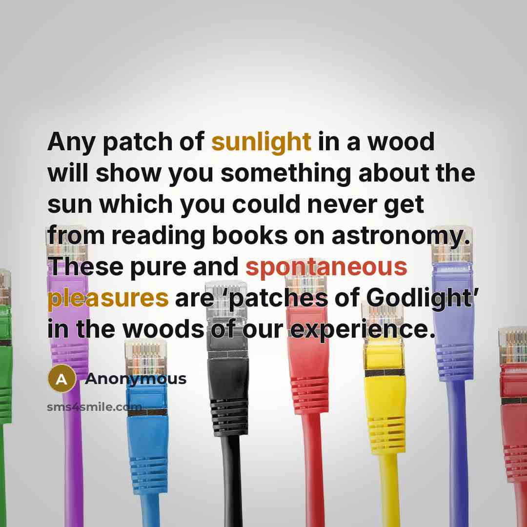 “Any patch of sunlight in a wood will show you something about the sun which you could never get from reading books on astronomy. These pure and spontaneous pleasures are ‘patches of Godlight’ in the woods of our experience.” quote by Anonymous