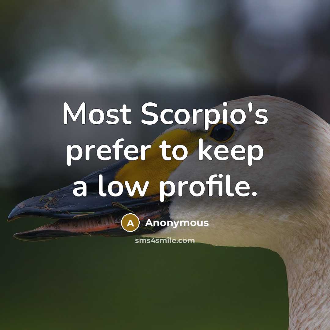 “Most Scorpio's prefer to keep a low profile.” quote by Anonymous