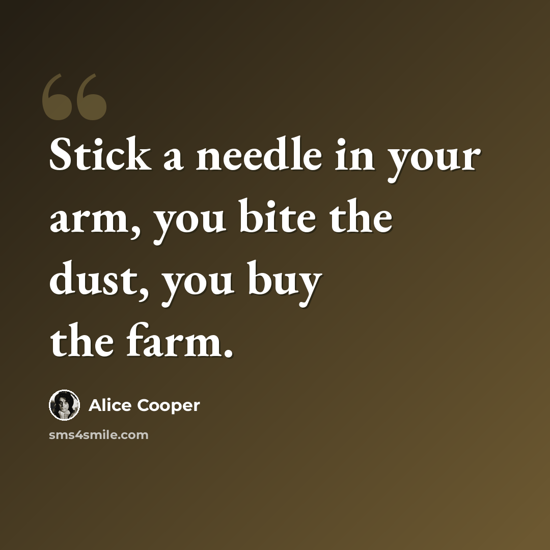“Stick a needle in your arm, you bite the dust, you buy the farm.” quote by Alice Cooper