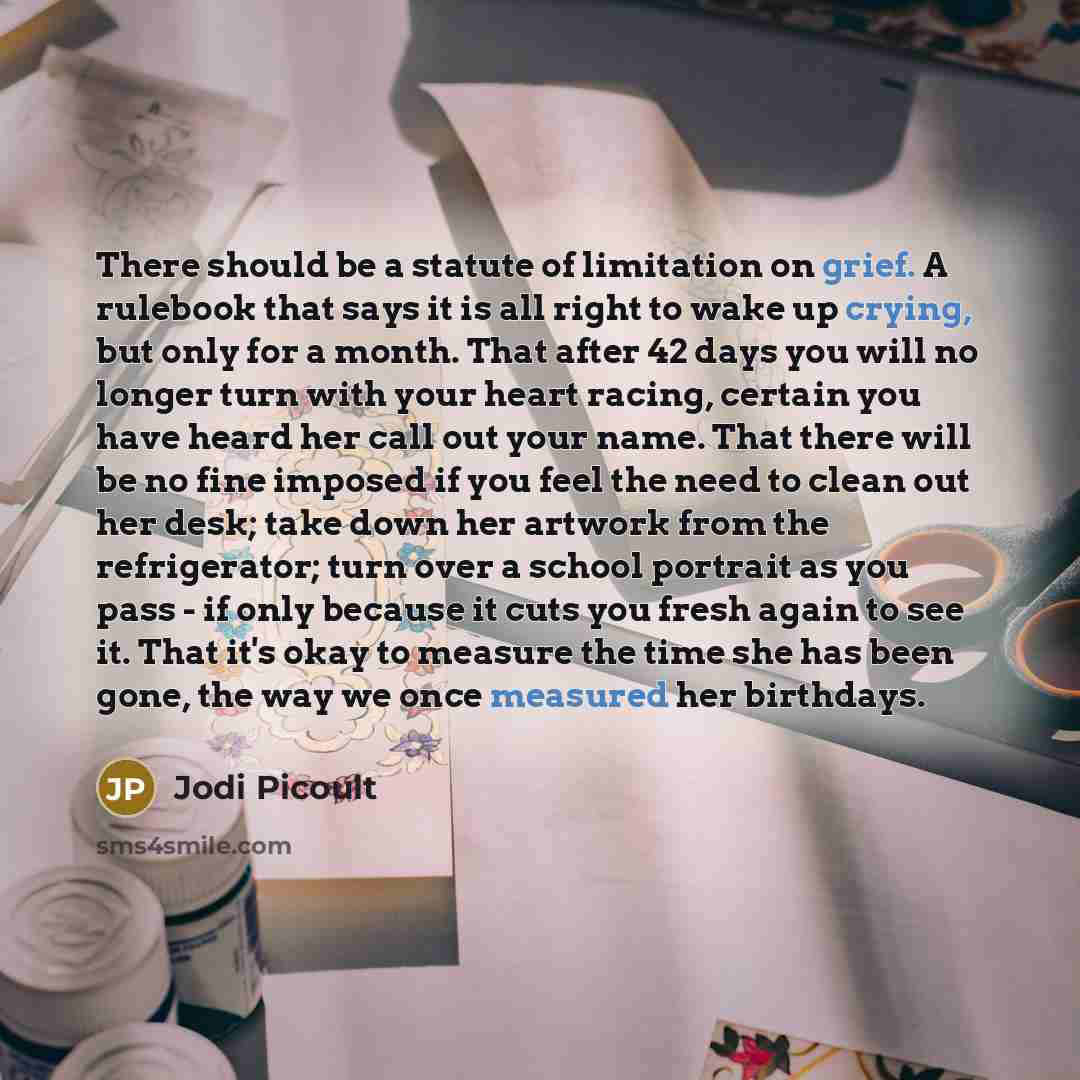 “There should be a statute of limitation on grief. A rulebook that says it is all right to wake up crying, but only for a month. That after 42 days you will no longer turn with your heart racing, certain you have heard her call out your name. That there will be no fine imposed if you feel the need…” quote by Jodi Picoult