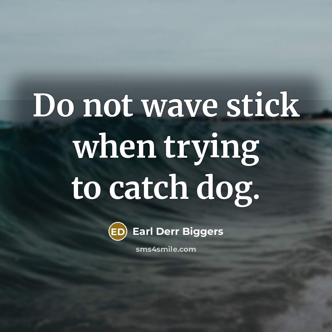 “Do not wave stick when trying to catch dog.” quote by Earl Derr Biggers