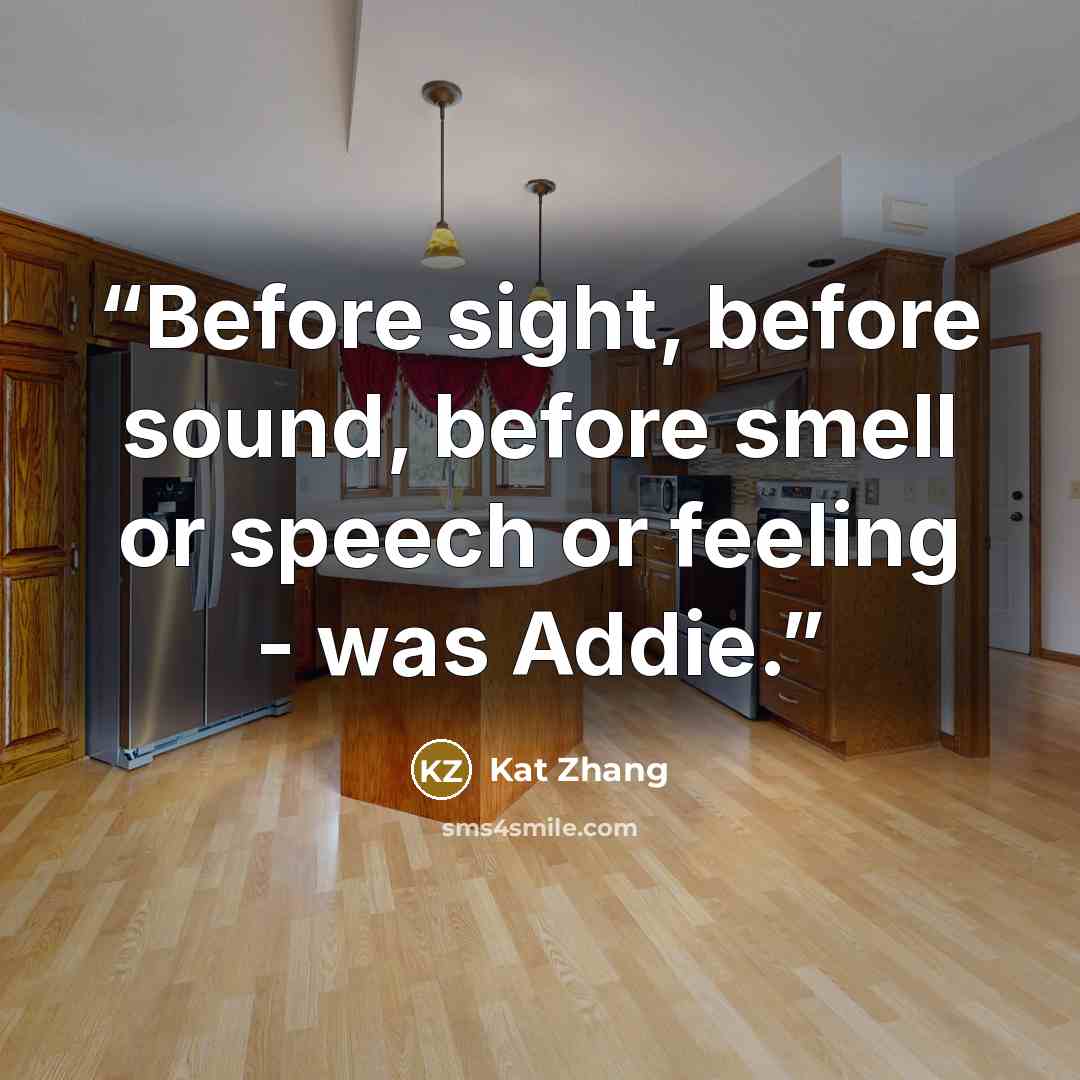 “Before sight, before sound, before smell or speech or feeling - was Addie.” quote by Kat Zhang