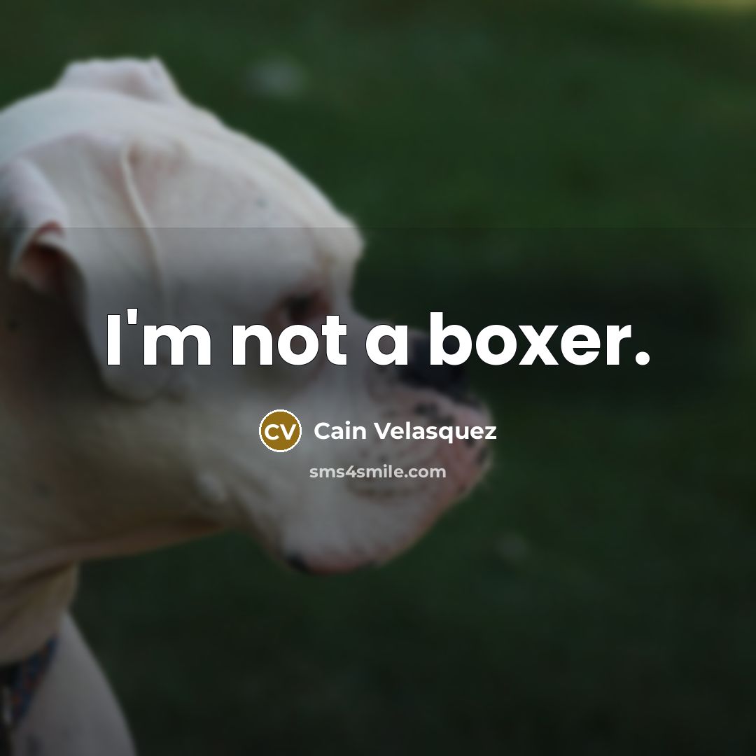 “I'm not a boxer.” quote by Cain Velasquez