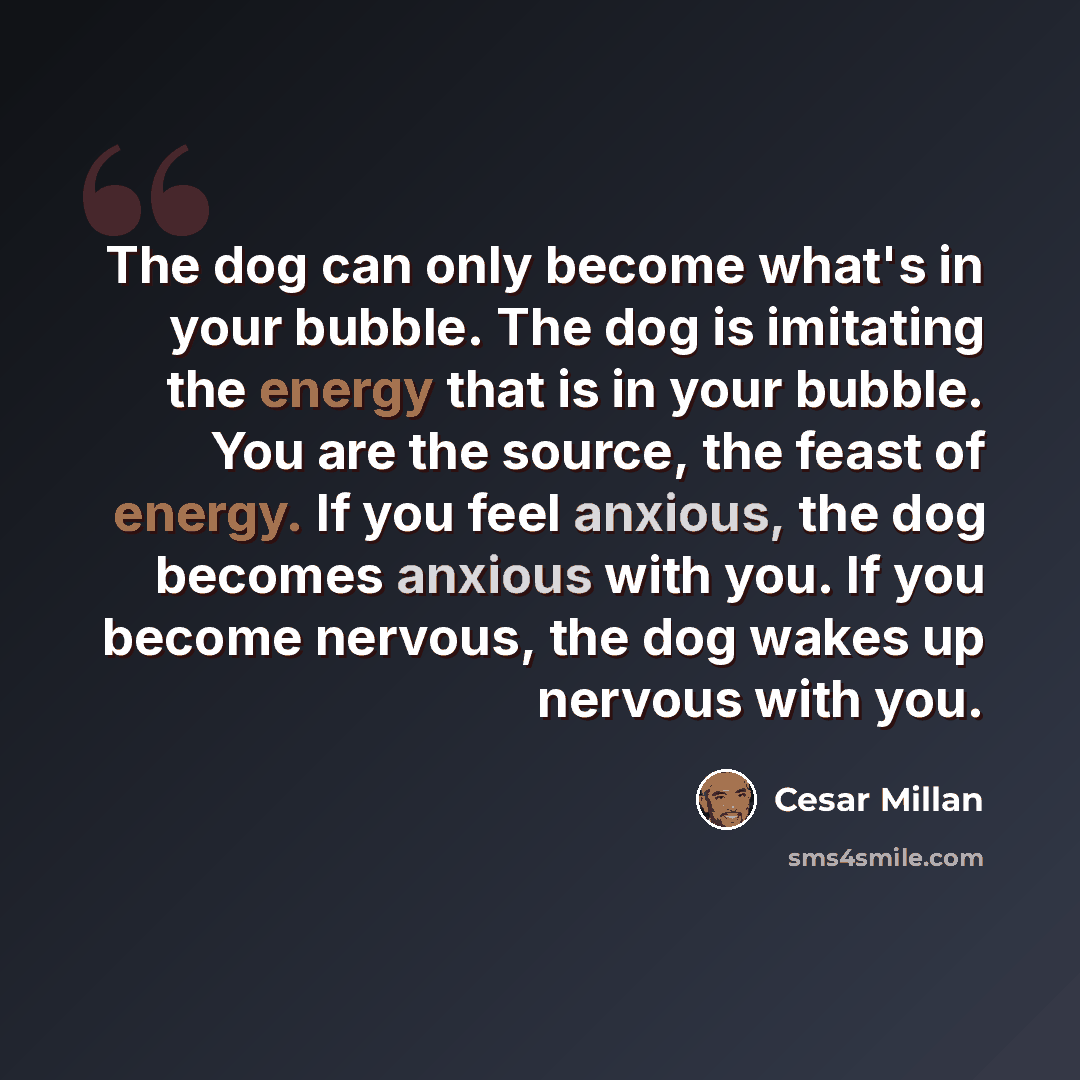 “The dog can only become what's in your bubble. The dog is imitating the energy that is in your bubble. You are the source, the feast of energy. If you feel anxious, the dog becomes anxious with you. If you become nervous, the dog wakes up nervous with you.” quote by Cesar Millan