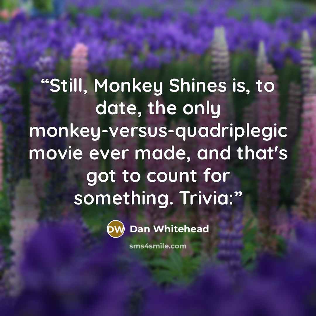 “Still, Monkey Shines is, to date, the only monkey-versus-quadriplegic movie ever made, and that's got to count for something. Trivia:” quote by Dan Whitehead