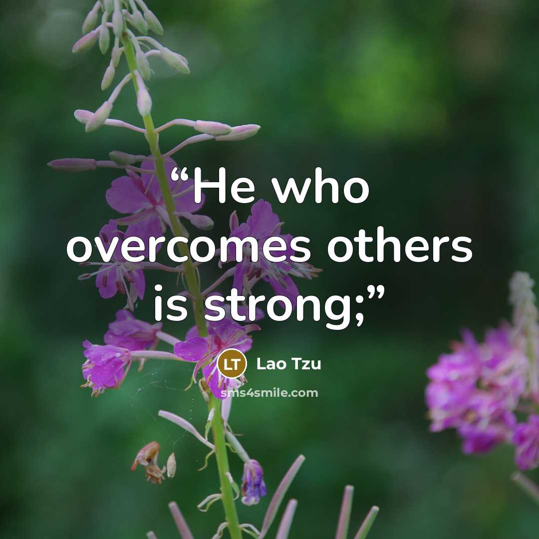 “He who overcomes others is strong;” quote by Lao Tzu