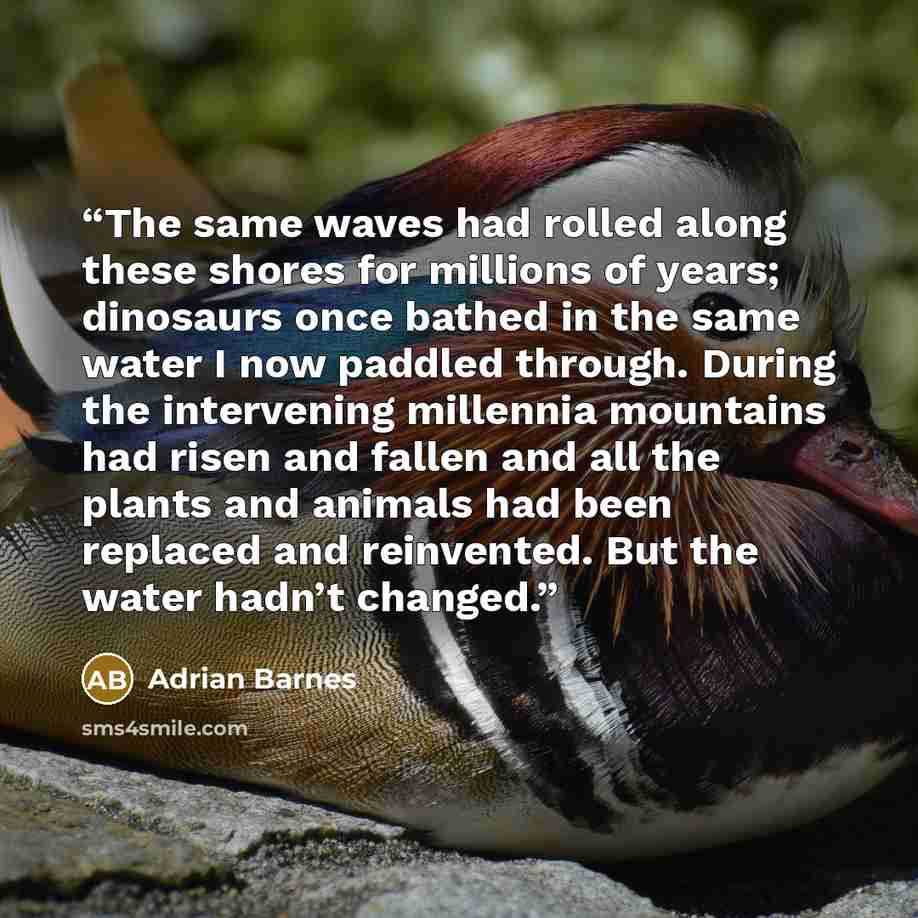 “The same waves had rolled along these shores for millions of years; dinosaurs once bathed in the same water I now paddled through. During the intervening millennia mountains had risen and fallen and all the plants and animals had been replaced and reinvented. But the water hadn’t changed.” quote by Adrian Barnes
