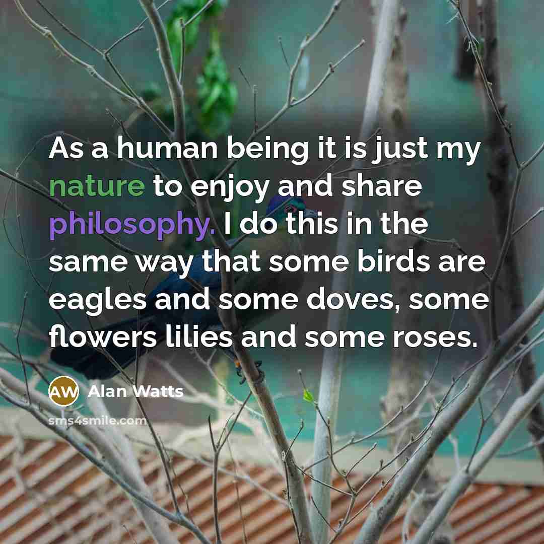 “As a human being it is just my nature to enjoy and share philosophy. I do this in the same way that some birds are eagles and some doves, some flowers lilies and some roses.” quote by Alan Watts