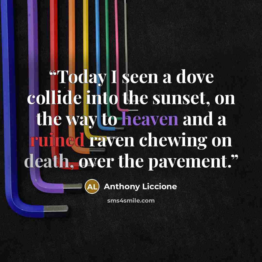 “Today I seen a dove collide into the sunset, on the way to heaven and a ruined raven chewing on death, over the pavement.” quote by Anthony Liccione